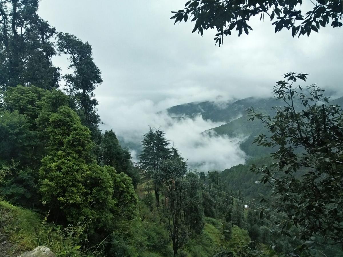 Oyo 11877 Royal Residency Hotel New Tehri Room photo